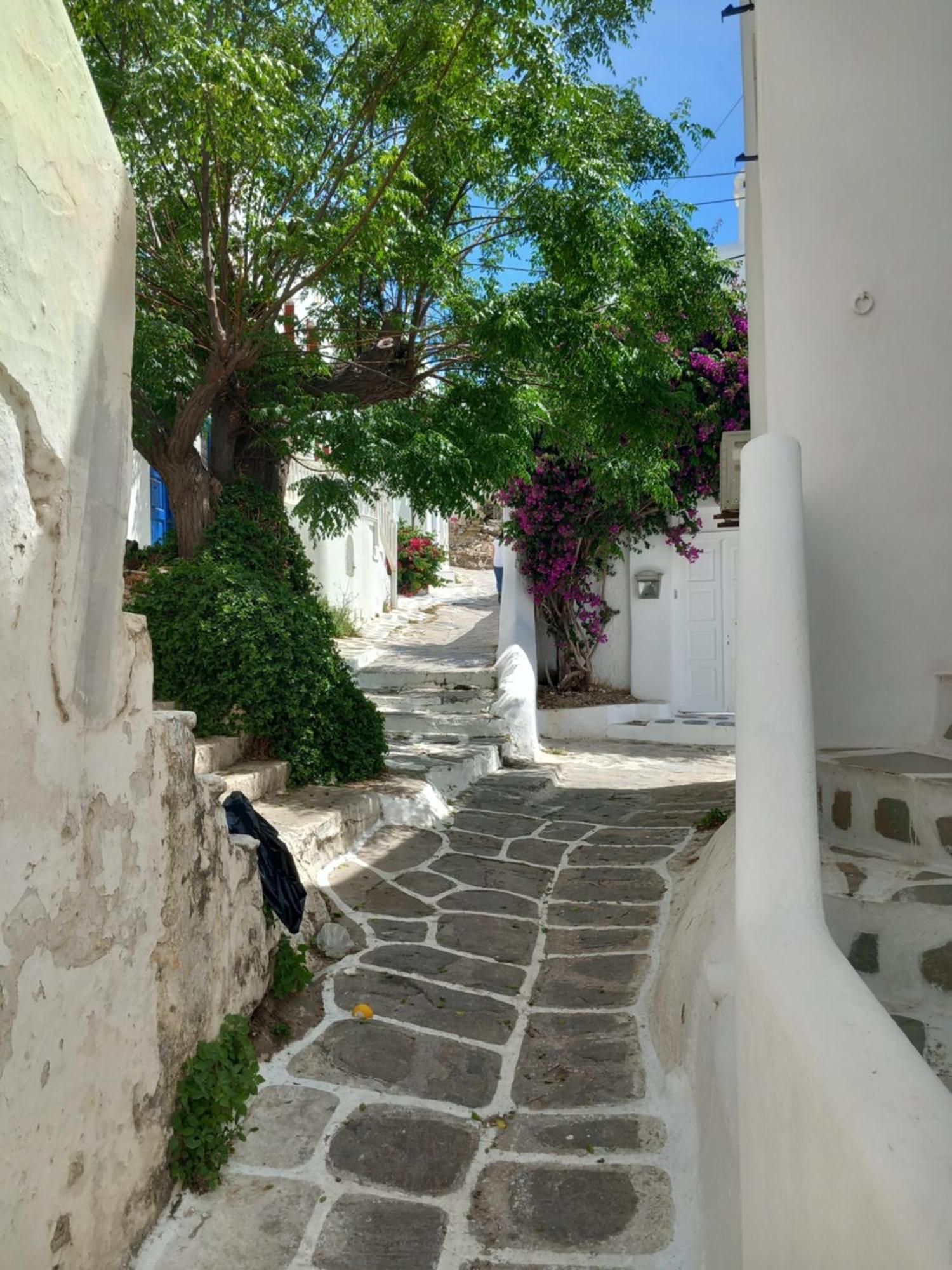 Alex Oldtown Sea View Rooms And Appartments Mykonos Town 客房 照片