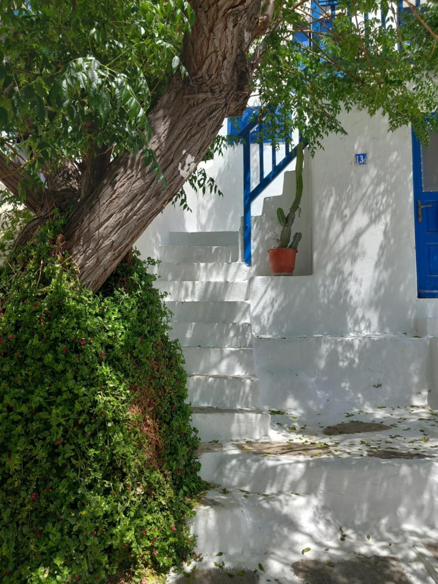 Alex Oldtown Sea View Rooms And Appartments Mykonos Town 客房 照片