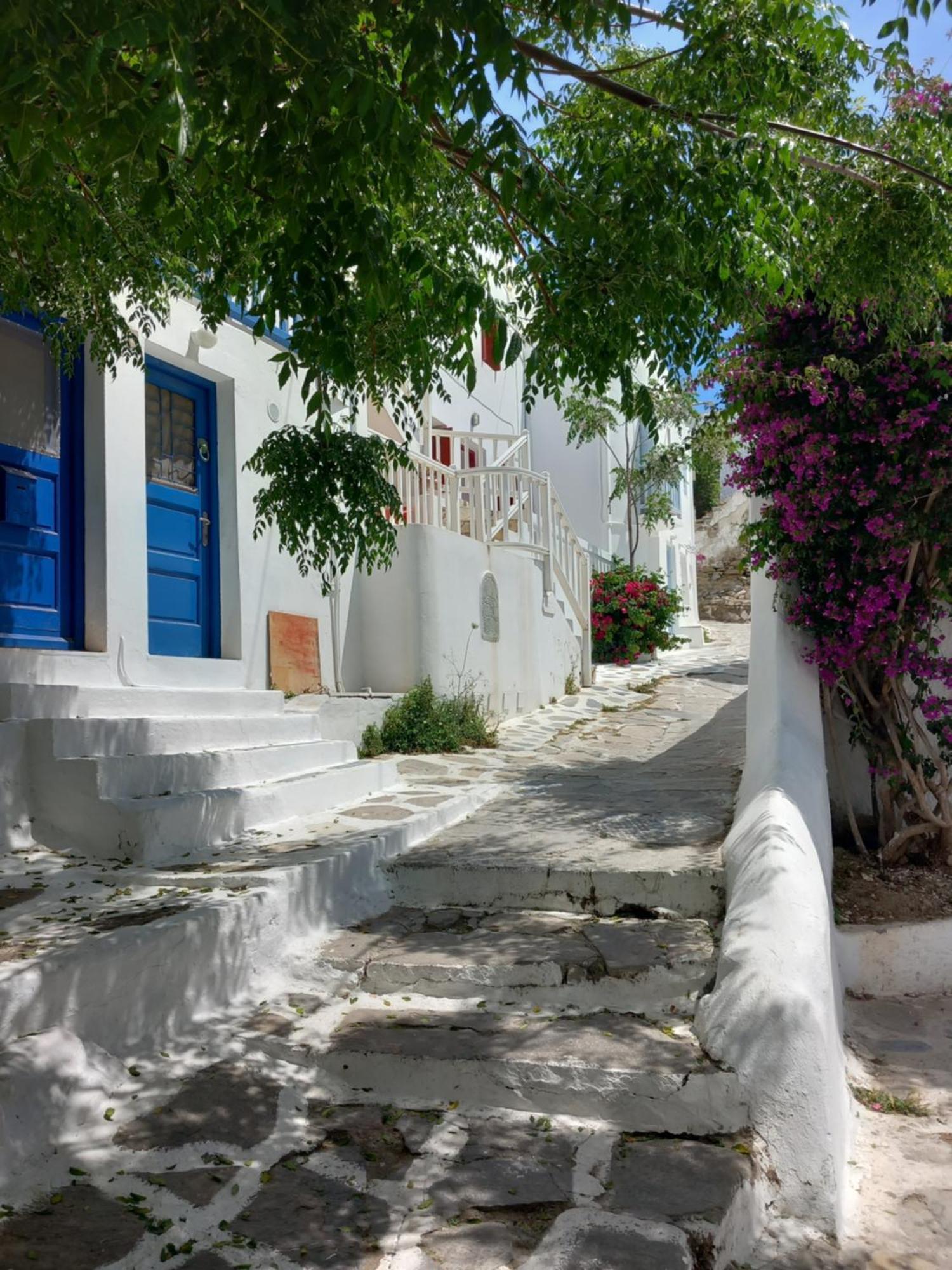 Alex Oldtown Sea View Rooms And Appartments Mykonos Town 客房 照片