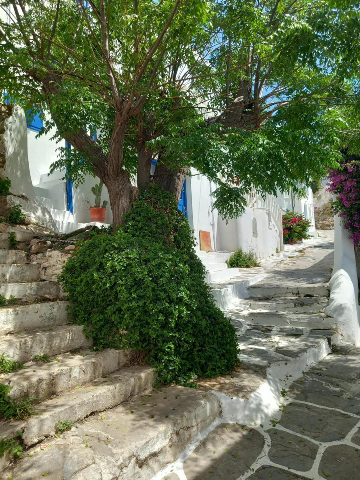 Alex Oldtown Sea View Rooms And Appartments Mykonos Town 外观 照片